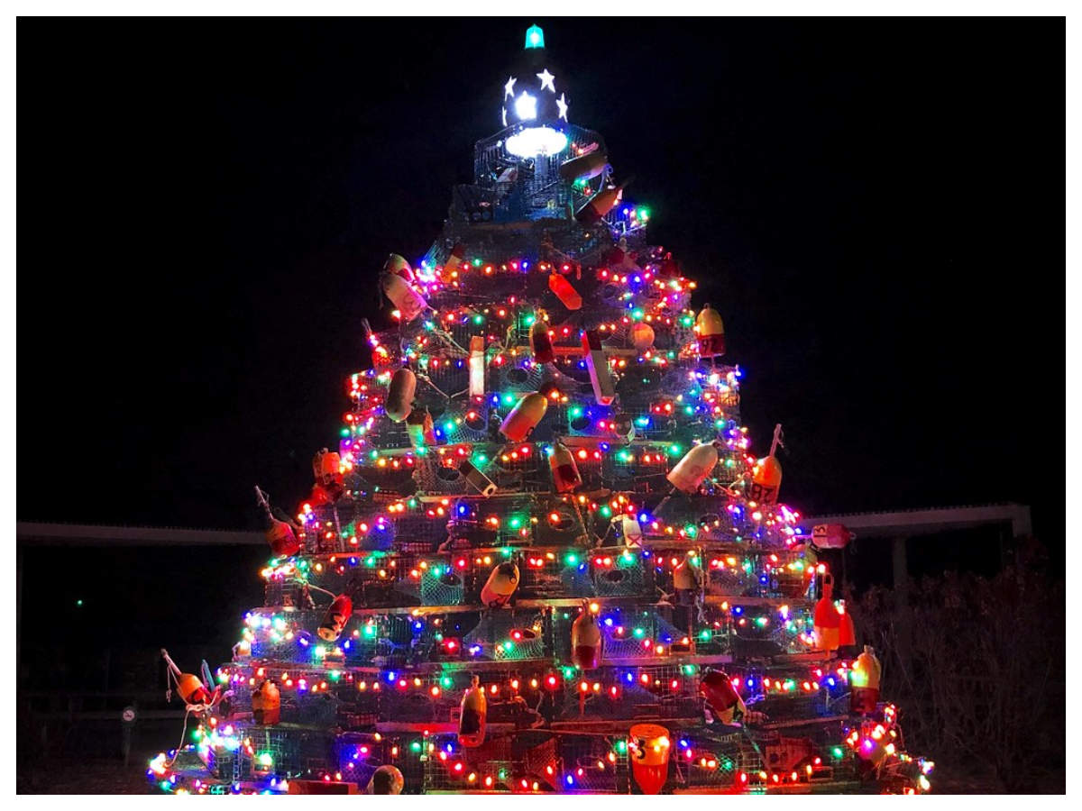 Christmas 2019: Decorate Christmas tree with food | Christmas Tree ...