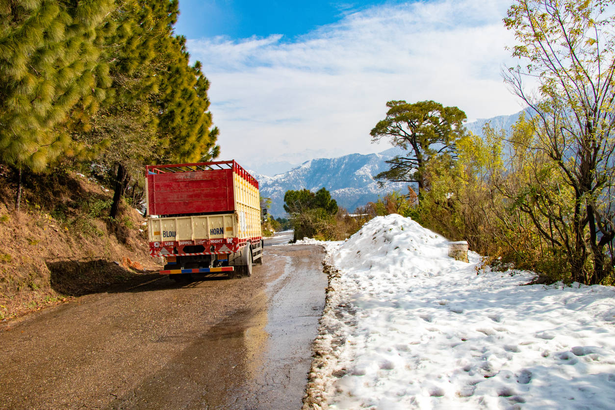 Snowfall in Himachal on new year | Times of India Travel