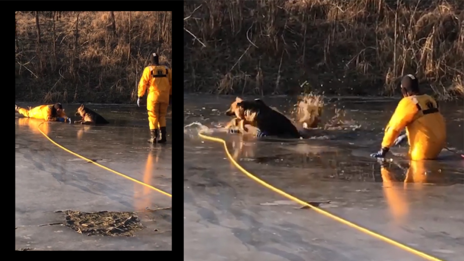 On cam: Incredible rescue of dog by fire fighters
