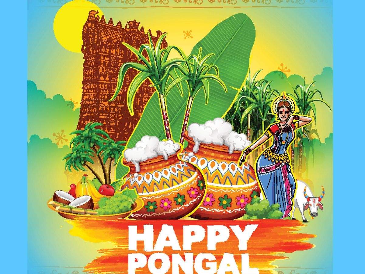 Happy Pongal 2022: Images, Wishes, Messages, Quotes, Pictures and ...