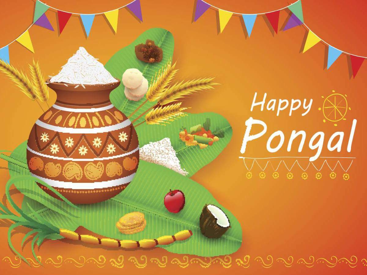 Happy Pongal 2021 Images Wishes Messages Quotes Cards Greetings Pictures Gifs And Wallpapers Times Of India