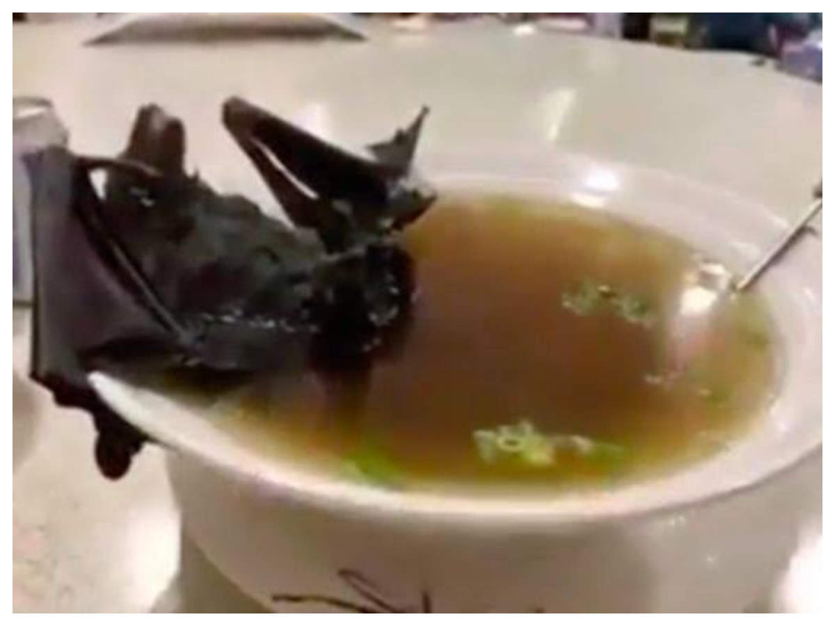 Is bat soup sold in Wuhan market in China behind Coronavirus outbreak? | The Times of ...1200 x 900