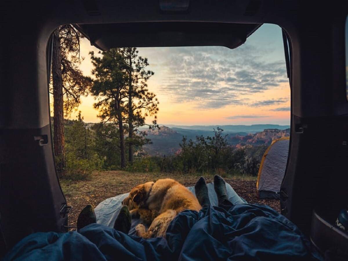 Car inflatable bed: Now make every ride adventurous