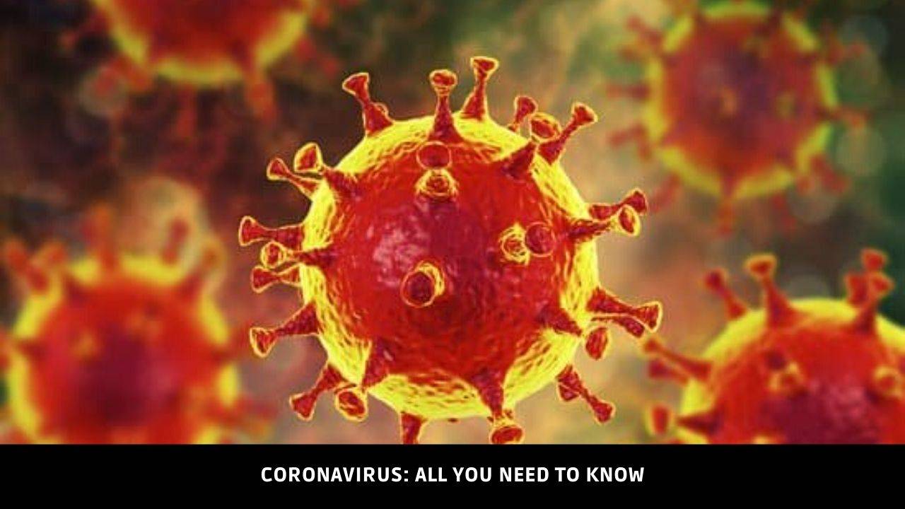 Image result for image of corona virus