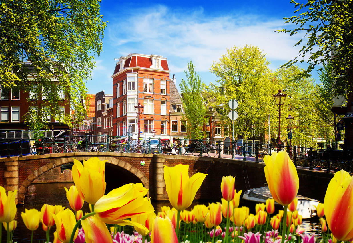 The Netherlands Drops Its ‘holland Nickname Officially Times Of India Travel