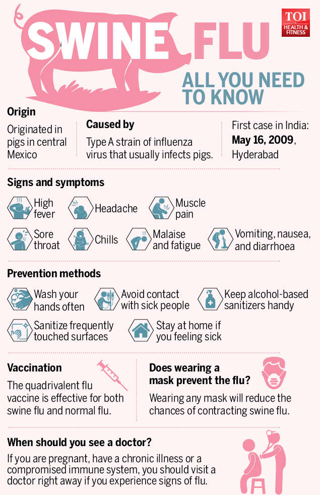 Swine flu: All you need to know about the H1N1 influenza - Times ...