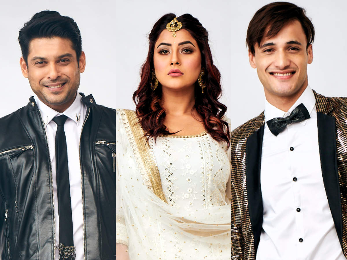 Boss 13: A look at Top contestants' journey in the house | The Times of India