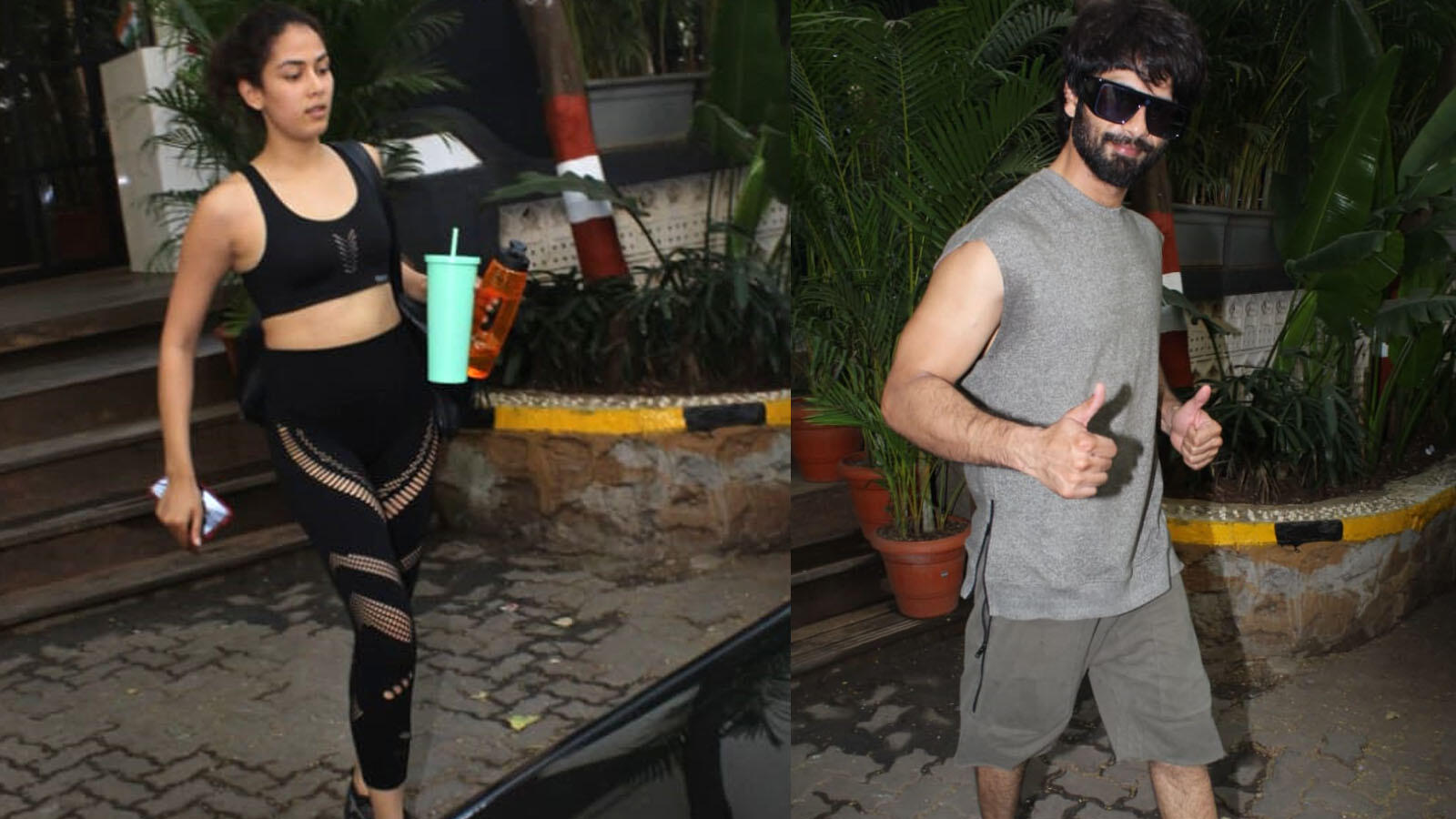 Mira Rajput flaunts her toned physique in all-black gym gear, gets ...