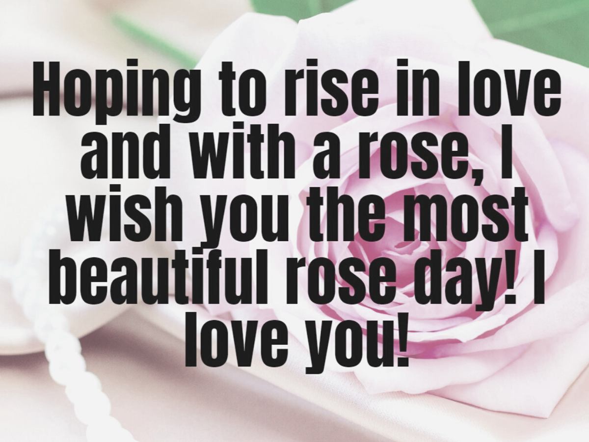 Happy Rose Day Wishes Messages Quotes Images Facebook Whatsapp Statuses Times Of India