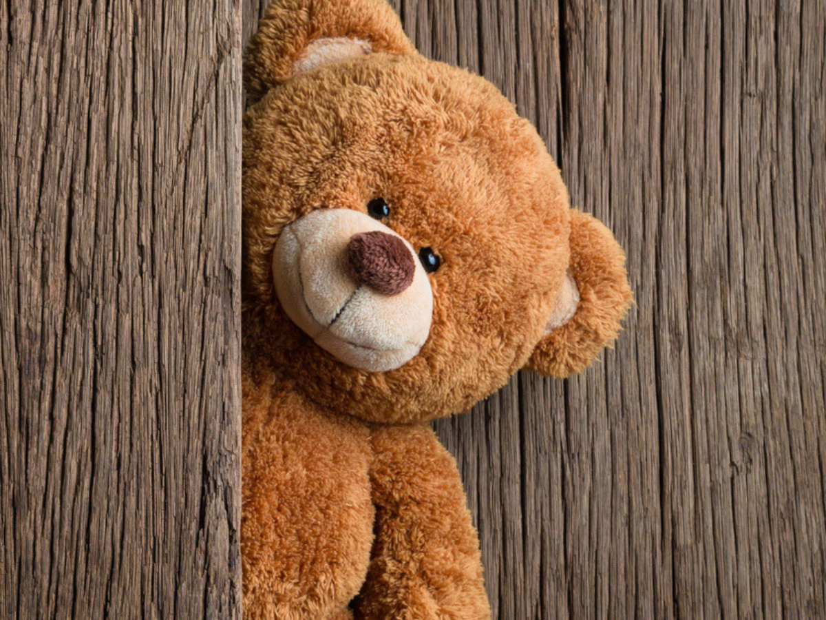 Teddy Day 2021: वैलेंटाइन वीक का आज चौथा दिन, इन बेहतरीन संदेशों के साथ