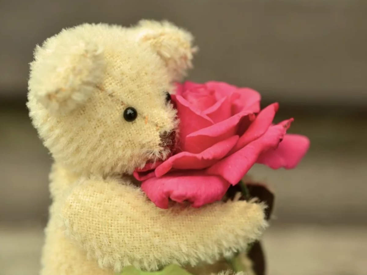 happy teddy day for wife