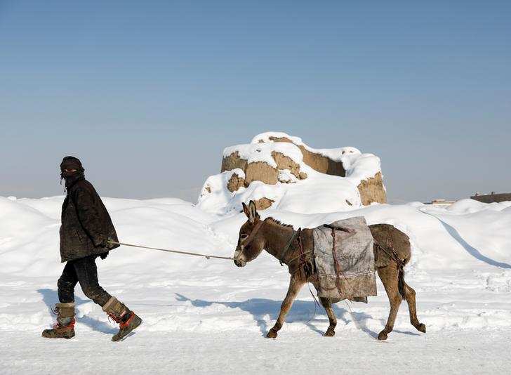 Irresistible pictures from winter wonderlands around the world