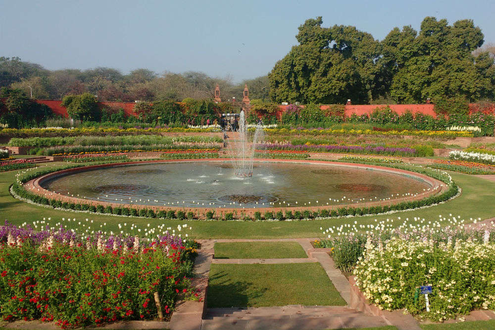 Mughal Gardens At Rashtrapati Bhavan To Remain Open For Visitors