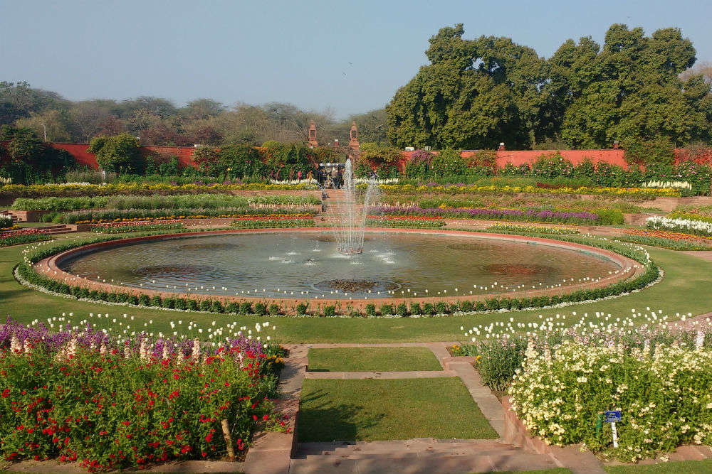 Mughal Gardens at Rashtrapati Bhavan to remain open for visitors till ...