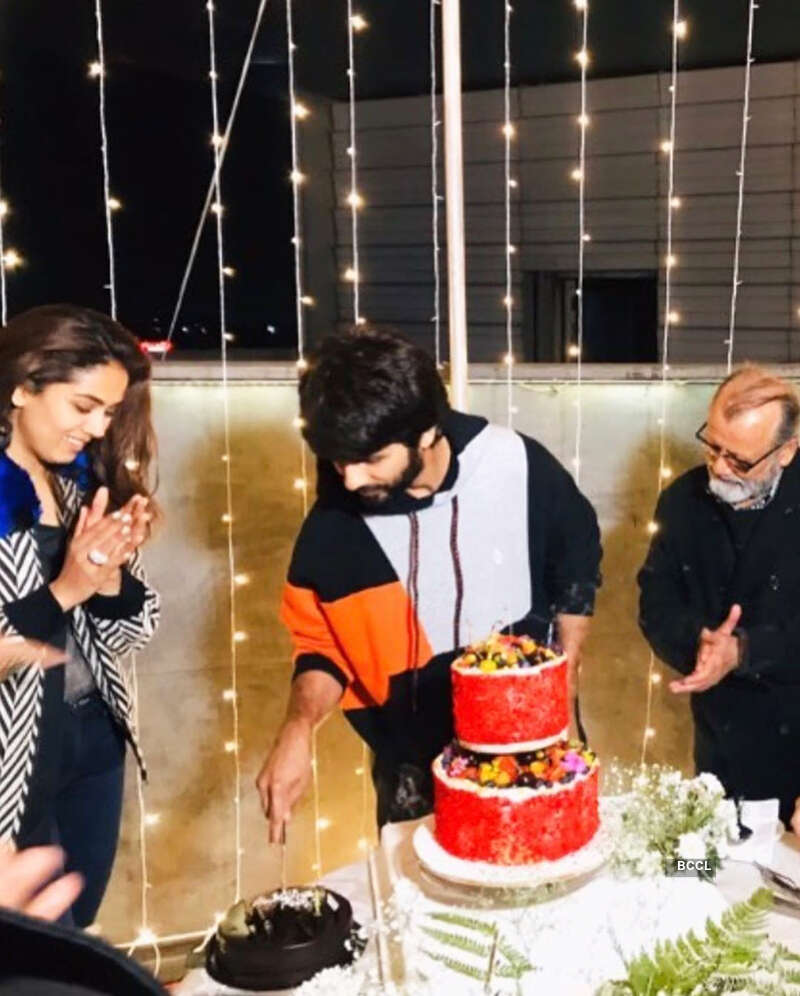 Shahid Kapoor's birthday celebration