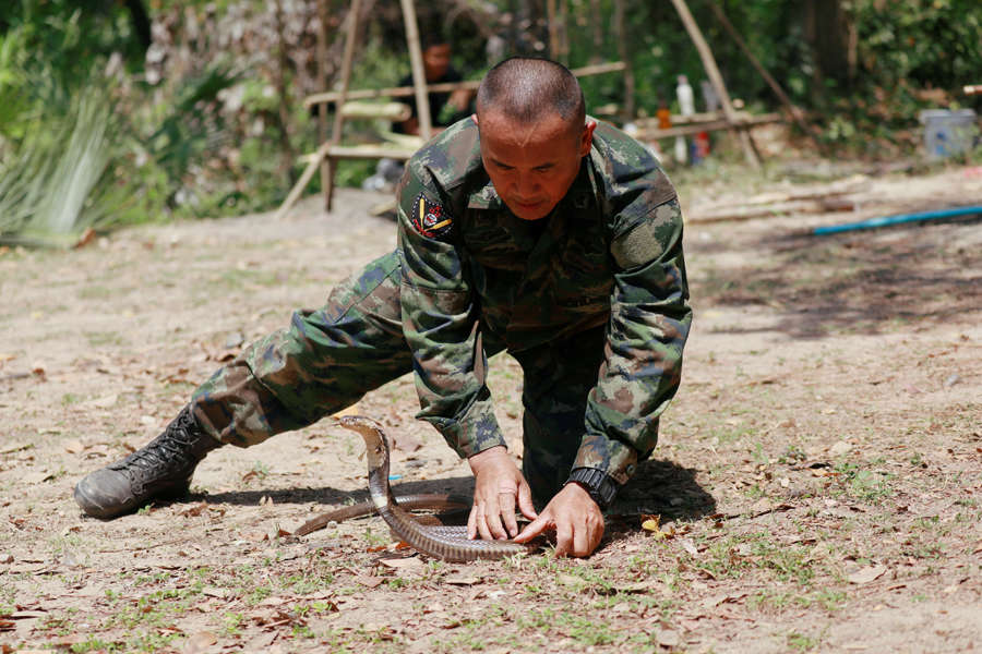 Thailand: Stunning pictures from Cobra Gold multilateral military exercise