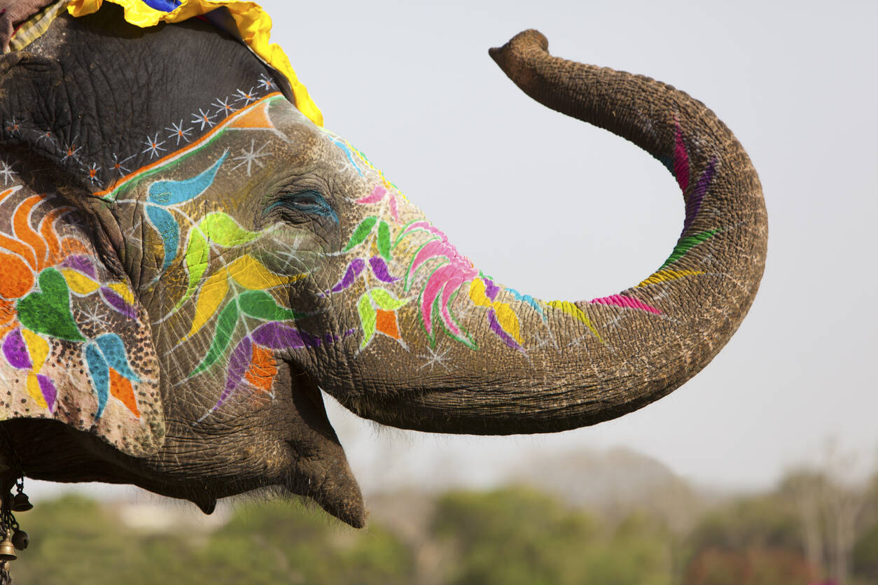 Elephant Festival in Jaipur to be celebrated on March 10