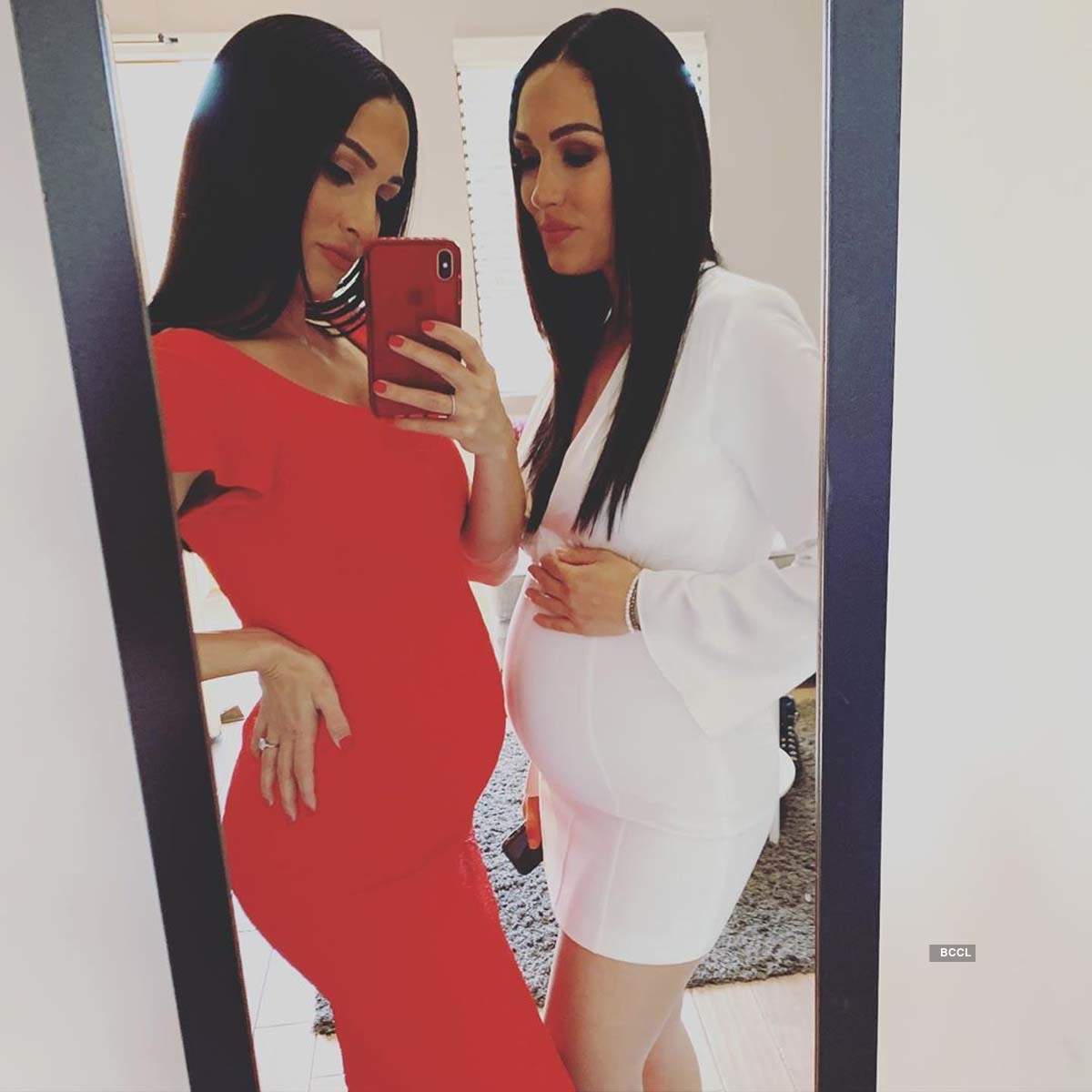 Former WWE divas Nikki & Brie Bella show off their baby bumps on social media