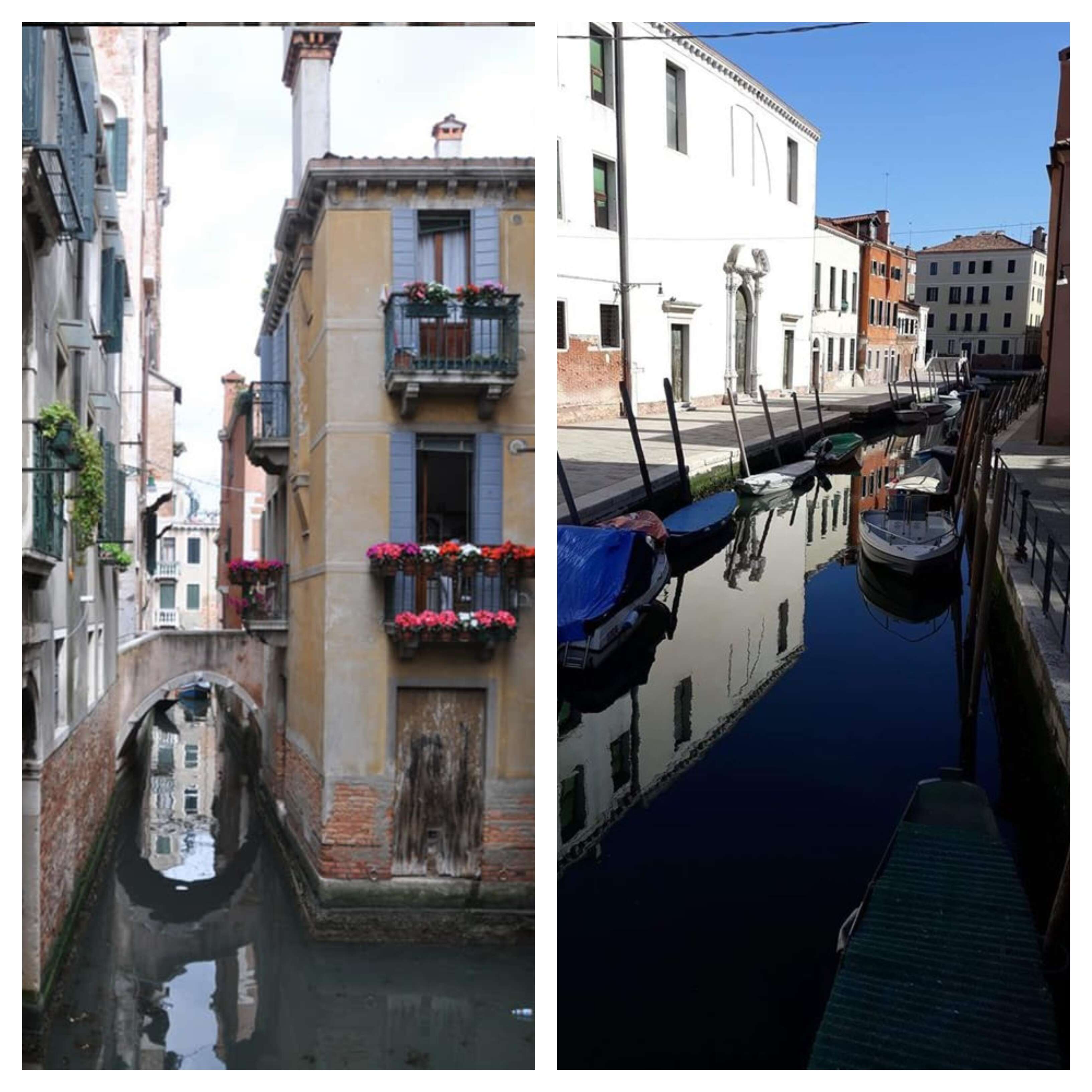 Nature takes its path as Venice turns cleaner amidst lockdown Nature takes its path as Venice turns cleaner amidst lockdown