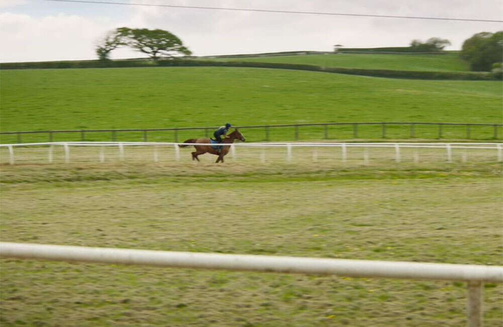 Dream-Horse3