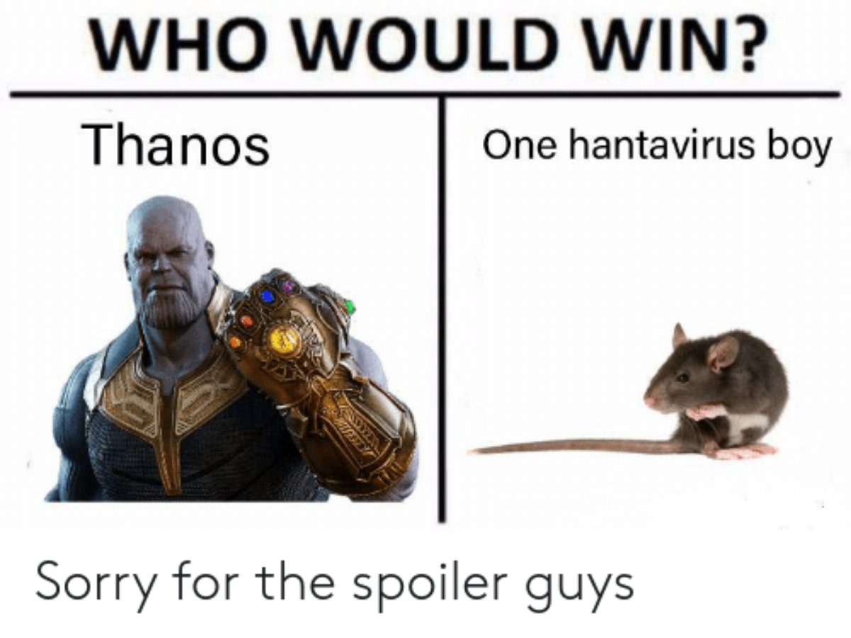 Viral Hilarious Hantavirus Memes And Tweets Are Internet S Laughter Dose Times Of India