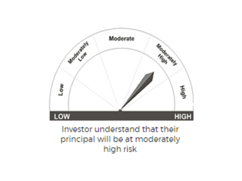 Riskometer