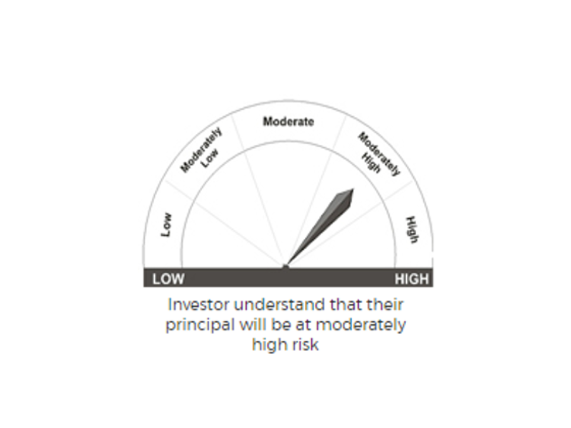 Riskometer