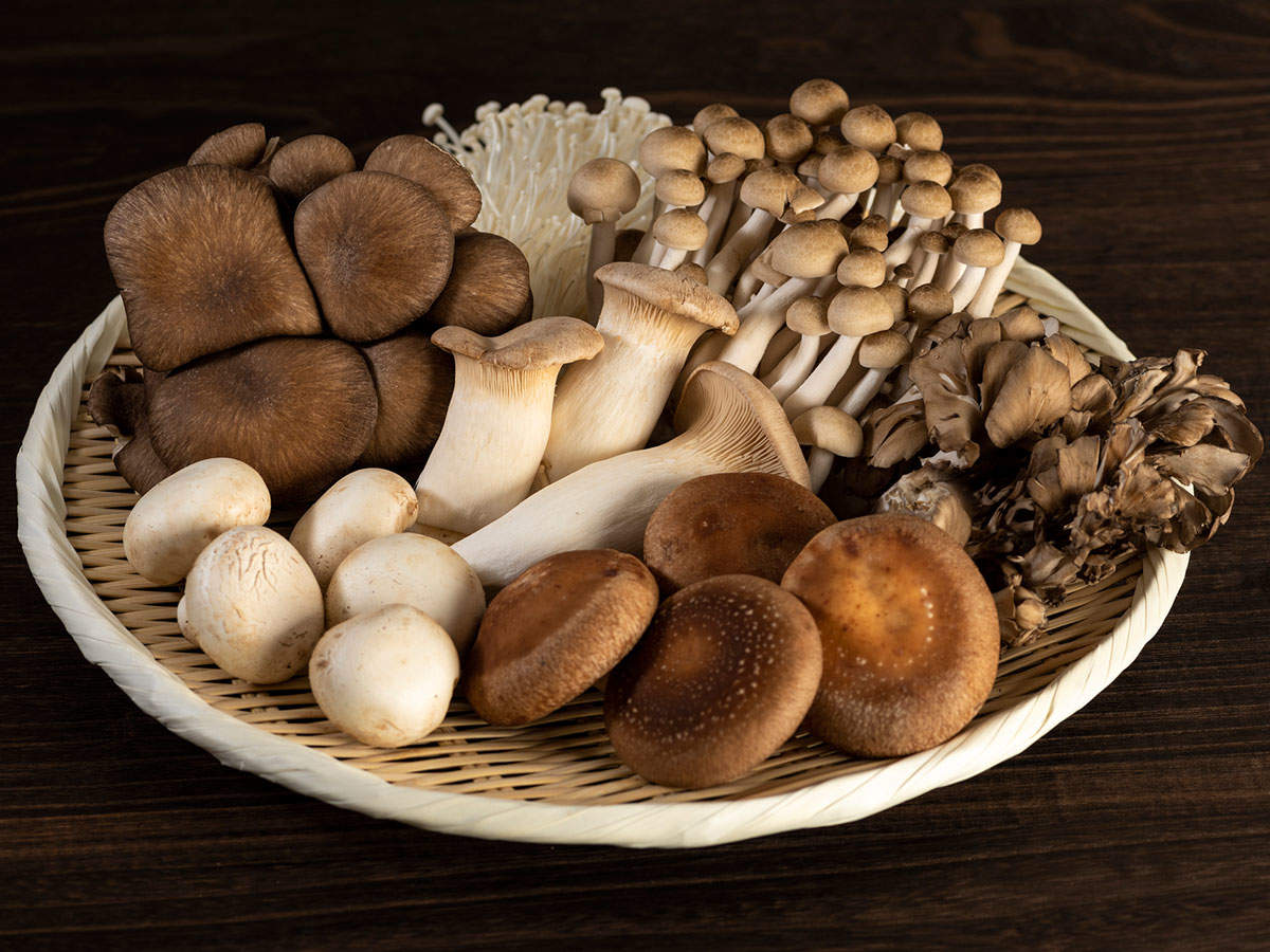 big edible mushrooms