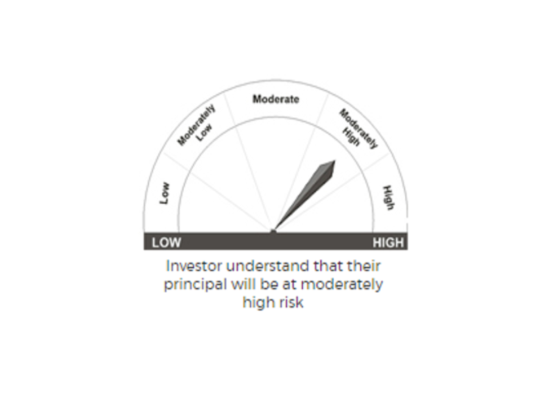 Riskometer