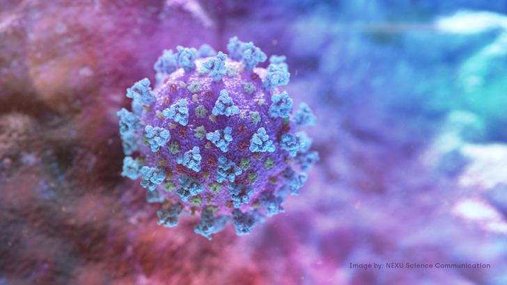 In photos: Up-close with the coronavirus