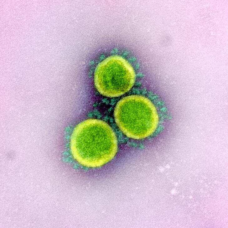 In photos: Up-close with the coronavirus