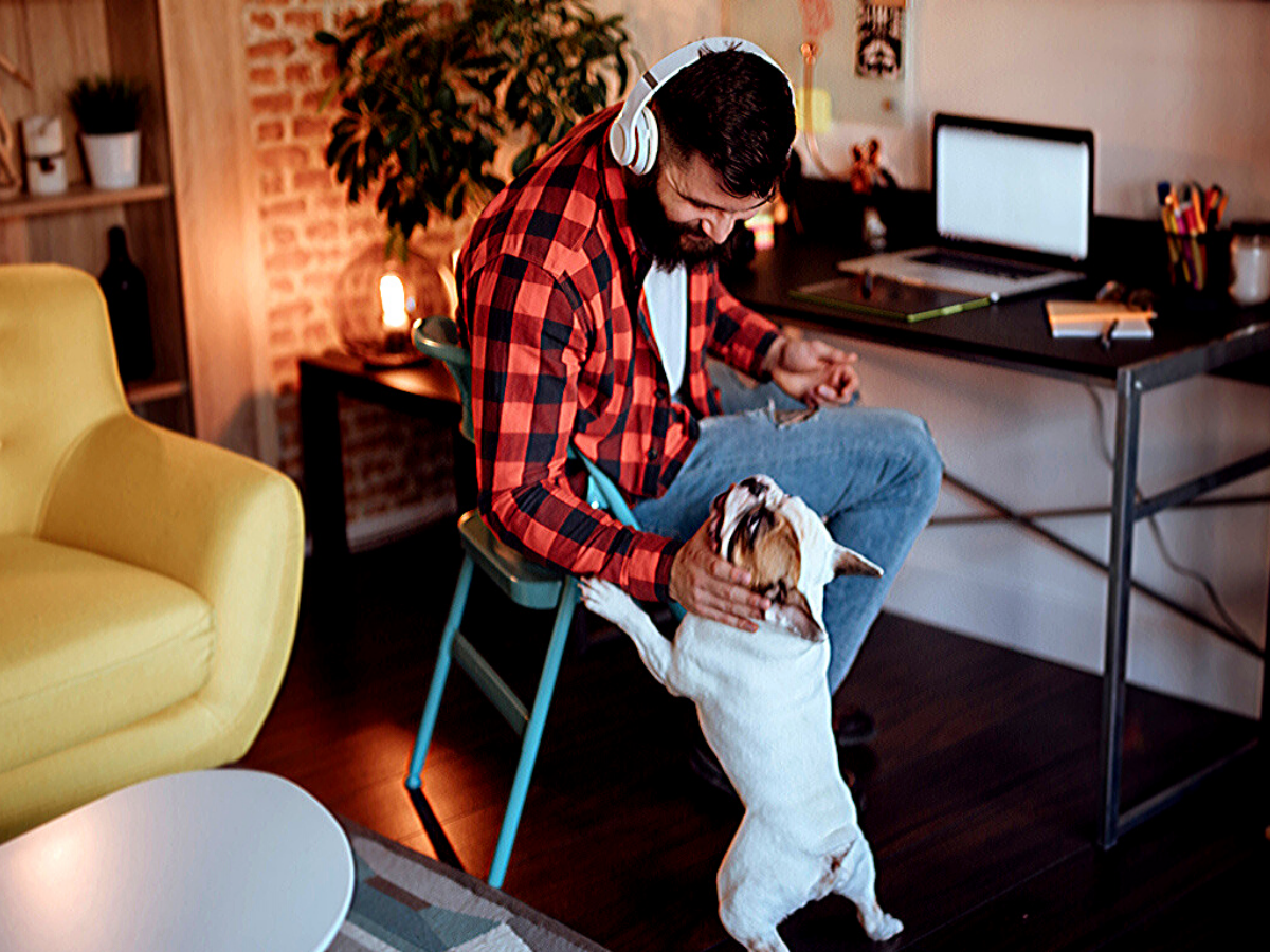 Pets and lockdown