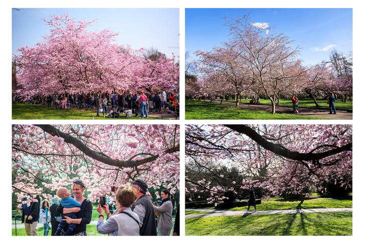 Pictures from public spaces before and after coronavirus lockdown