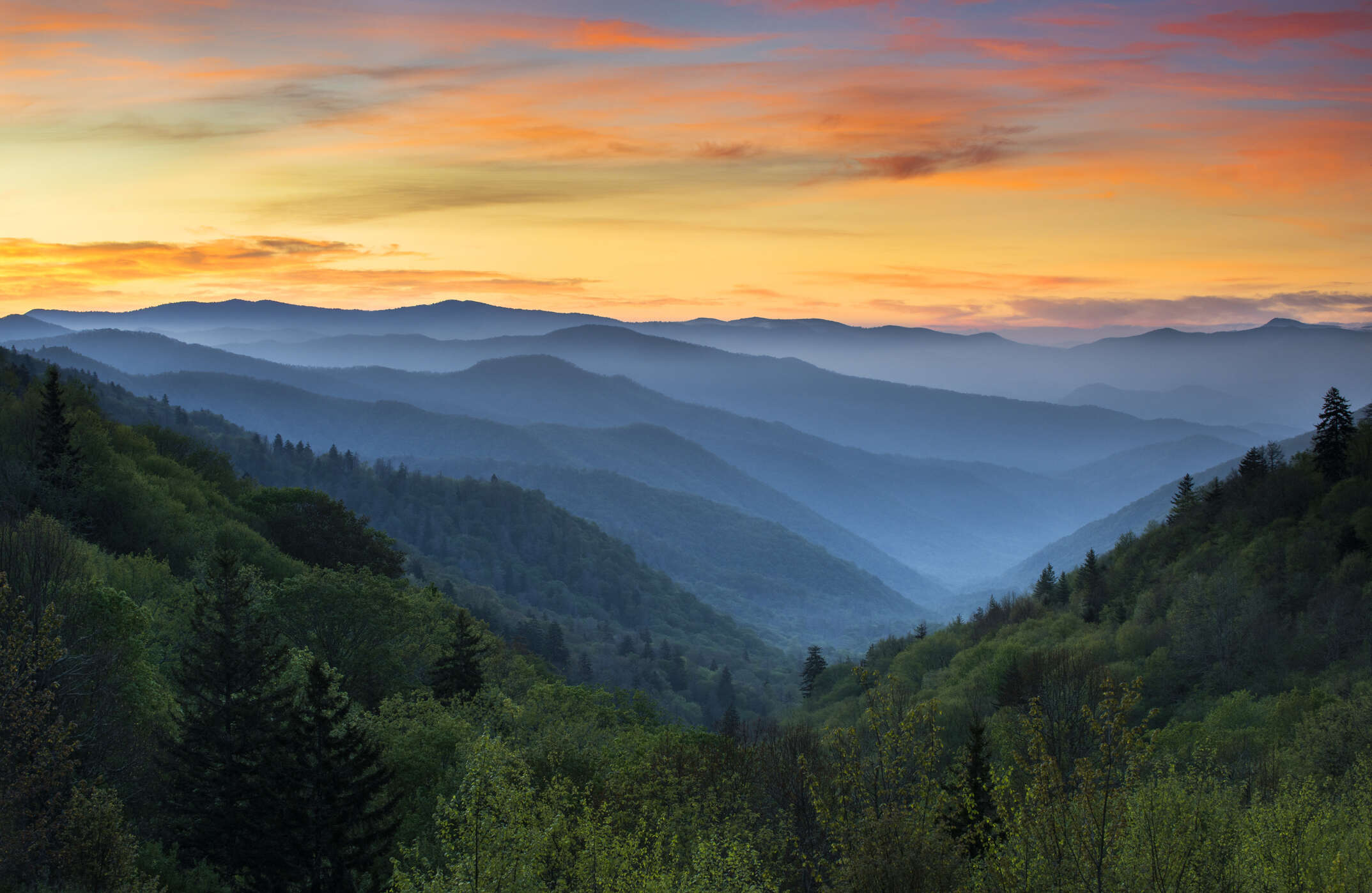 Go on a virtual hike of the Appalachian trail Go on a virtual hike of the Appalachian trail