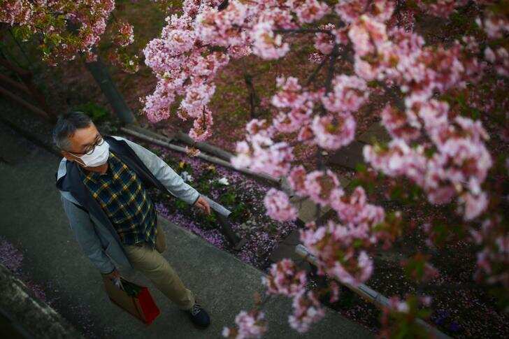Spring: Stunning pictures of flowers blooming around the world