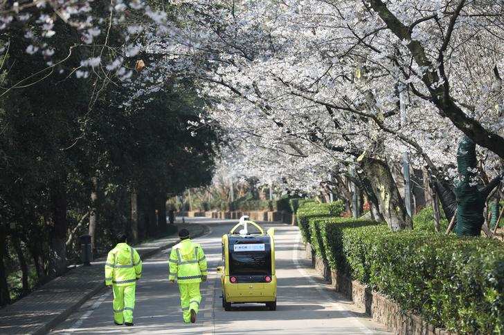 Spring: Stunning pictures of cherry blossoms blooming around the world