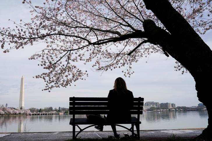 Spring: Stunning pictures of cherry blossoms blooming around the world