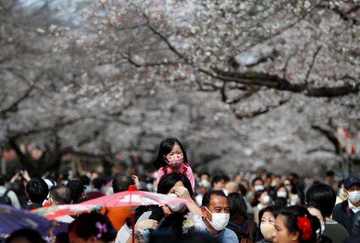 Spring: Stunning pictures of cherry blossoms blooming around the world