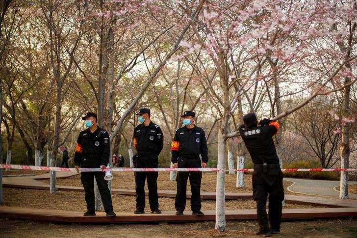 Spring: Stunning pictures of cherry blossoms blooming around the world