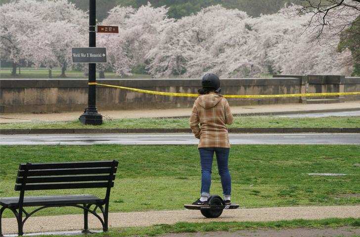 Spring: Stunning pictures of cherry blossoms blooming around the world