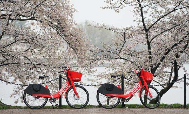 Spring: Stunning pictures of cherry blossoms blooming around the world