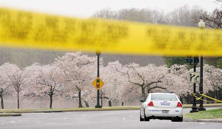 Spring: Stunning pictures of cherry blossoms blooming around the world