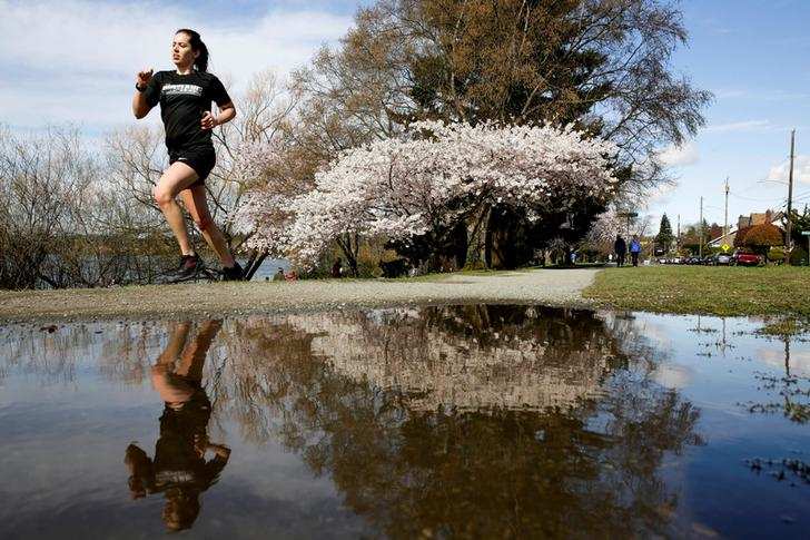 Spring: Stunning pictures of cherry blossoms blooming around the world