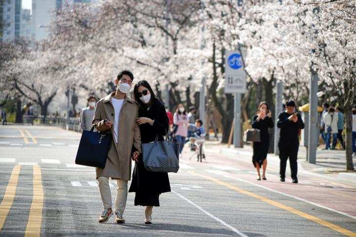 Spring: Stunning pictures of cherry blossoms blooming around the world