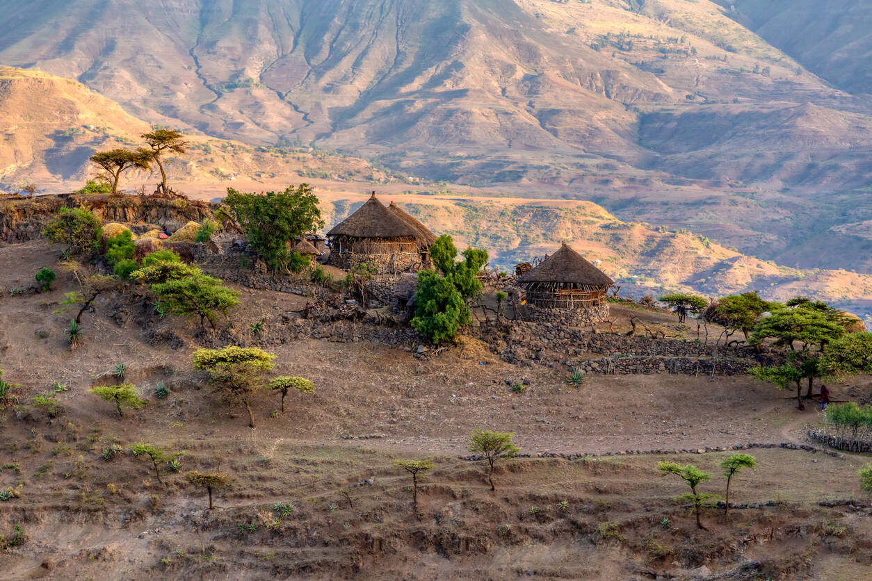 Ethiopia announces state of emergency to contain COVID-19 spread Ethiopia announces state of emergency to contain COVID-19 spread
