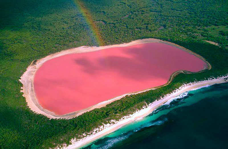 Pink Lake Hillier of Australia | Times of India Travel