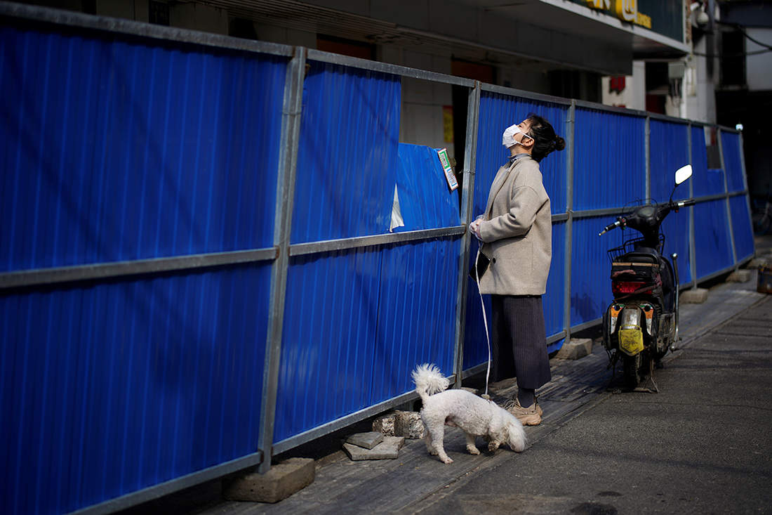 Pictures of your furry friends from around the world during the pandemic