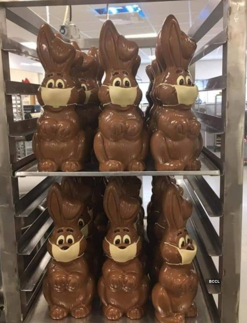 Pictures of Easter Bunnies spreading awareness during the Covid-19 outbreak are too cute to be missed!
