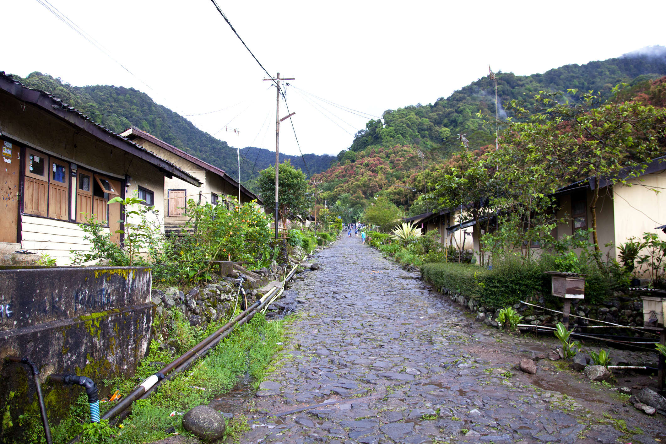 A village in Java invents a novel way to fight Coronavirus A village in Java invents a novel way to fight Coronavirus