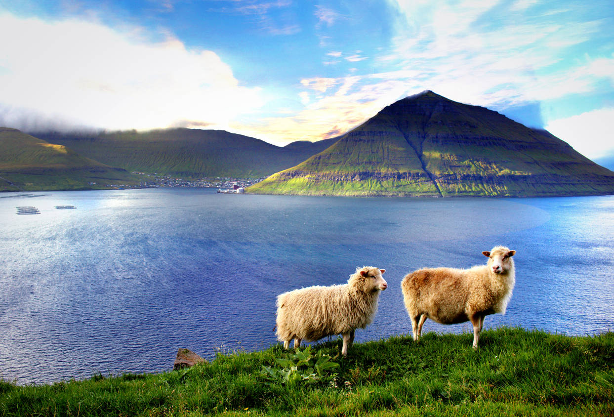 Faroe Islands is offering virtual vacation with a remote-controlled tour guide